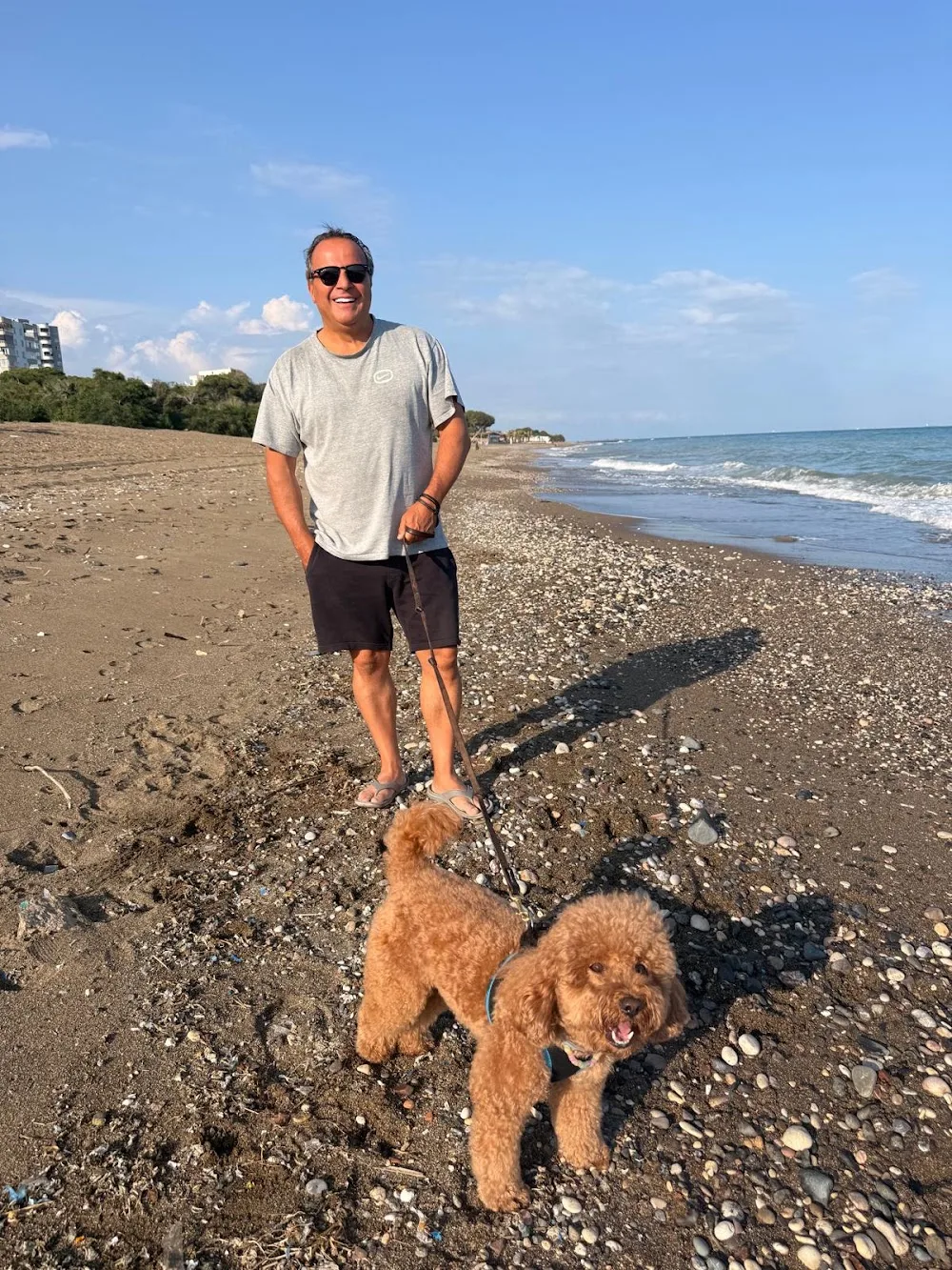 Patiklup - Mersin Kedi ve Köpek Oteli - Mersin pet otel görseli 3