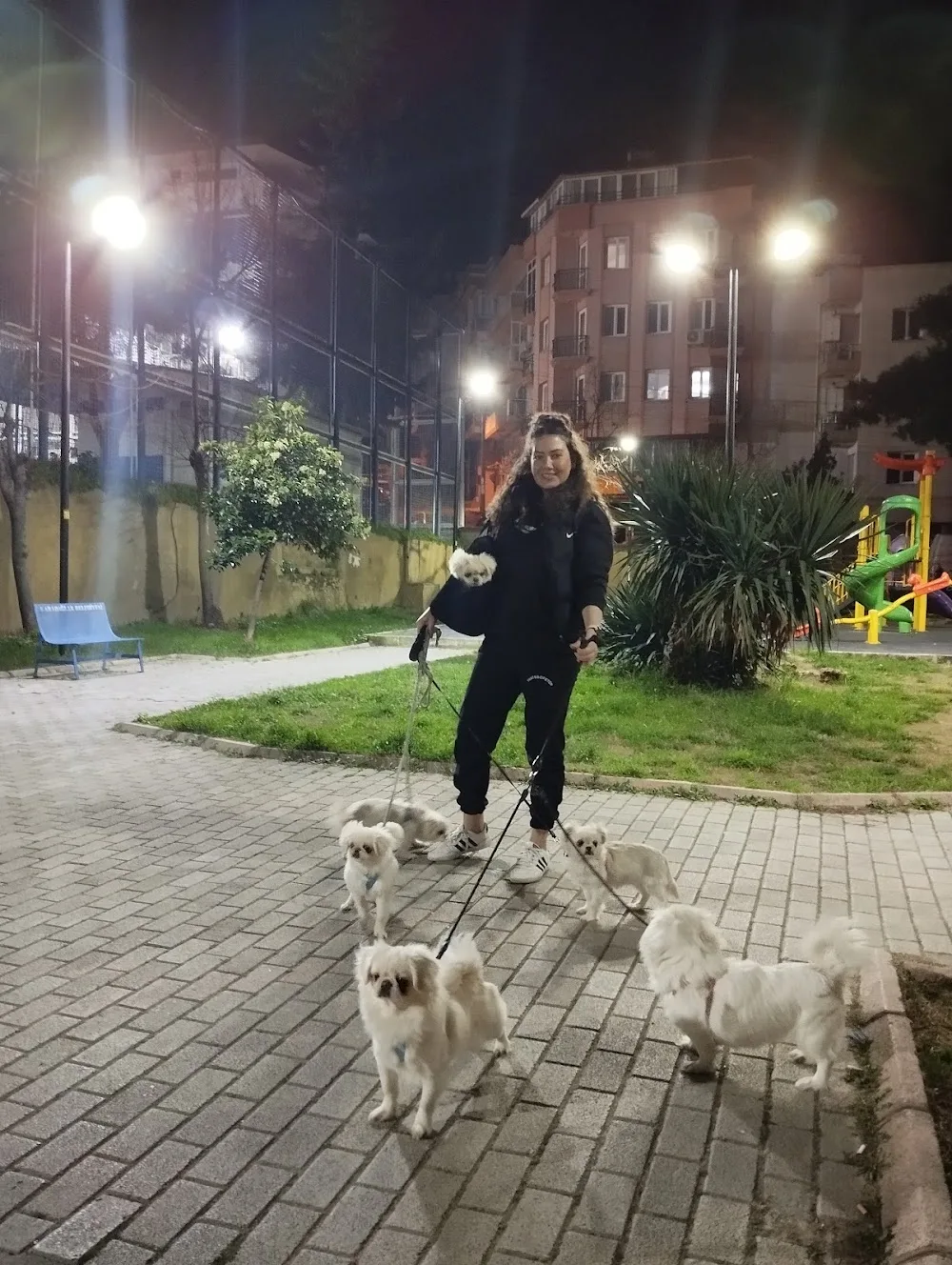 Patili Home İzmir NARLIDERE - Izmir pet otel görseli 2