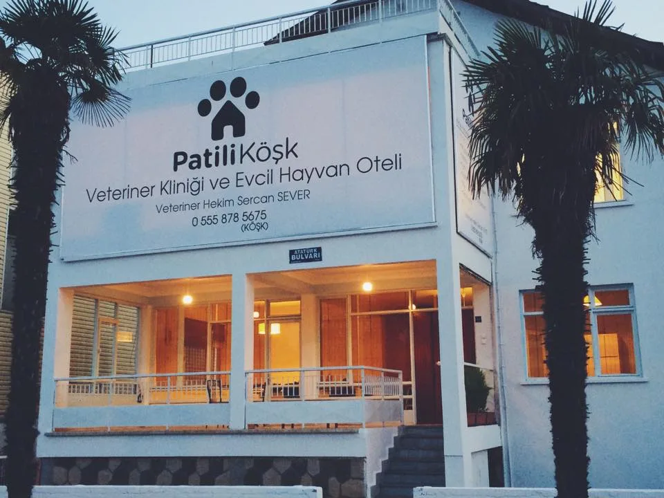 Patili Köşk Veteriner Kliniği ve Evcil Hayvan Oteli - Samsun pet otel görseli 2