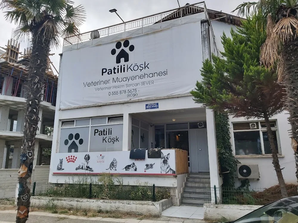 Patili Köşk Veteriner Kliniği ve Evcil Hayvan Oteli - Samsun pet otel görseli 3