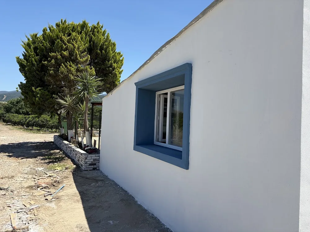 PatiPet Evcil Hayvan Oteli - Izmir pet otel görseli 3