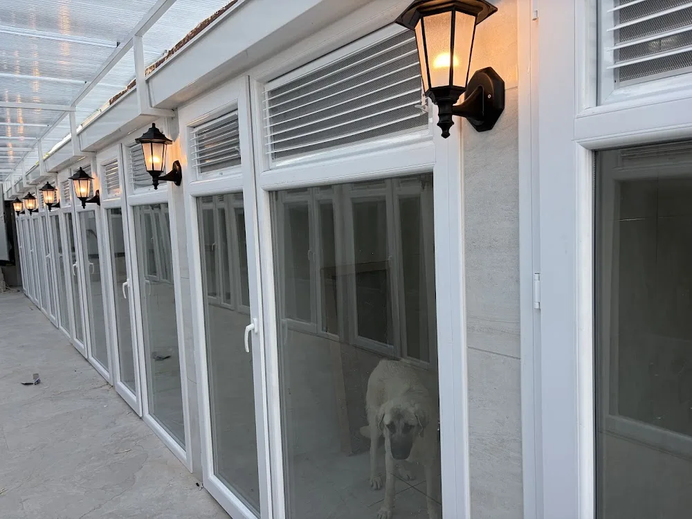 PatiPet Evcil Hayvan Oteli - Izmir pet otel görseli 6