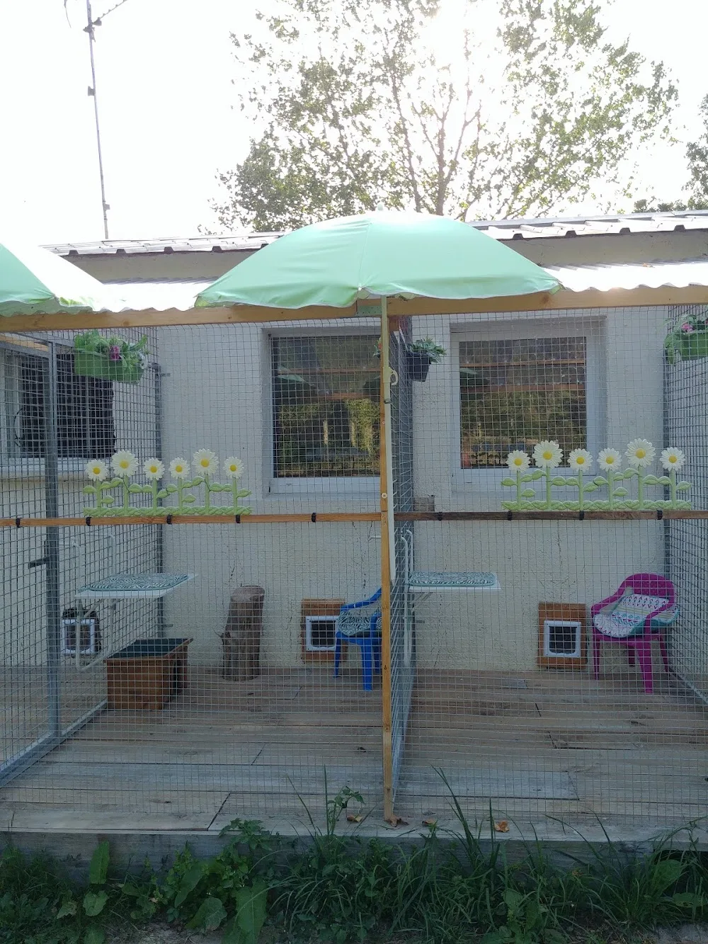 COMME CHIEN ET CHAT - Pays-de-la-Loire pet otel görseli 3