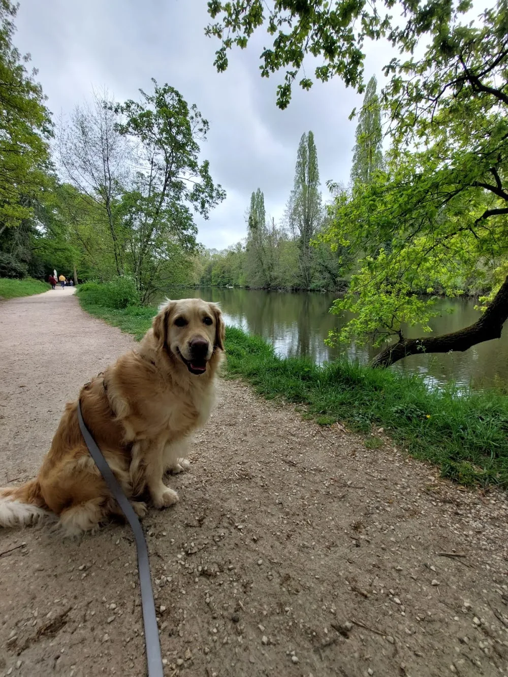 DOG&NOU - Pays-de-la-Loire pet otel görseli 2