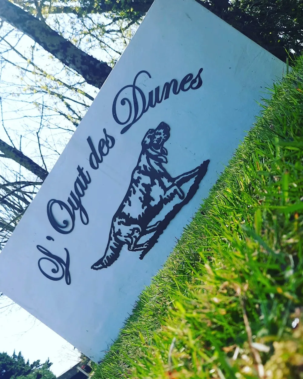 Domaine de l'Oyat des Dunes - Pays-de-la-Loire pet otel görseli 3