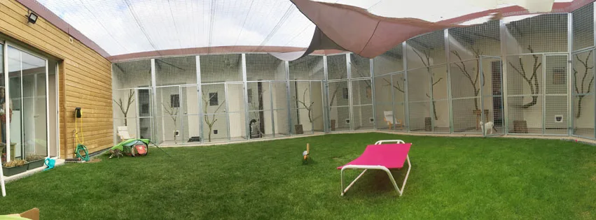 Le Patio Hom'iaou - Pays-de-la-Loire pet otel görseli 2