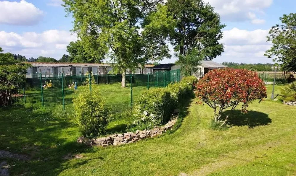 L'UniVair des chiens - Pays-de-la-Loire pet otel