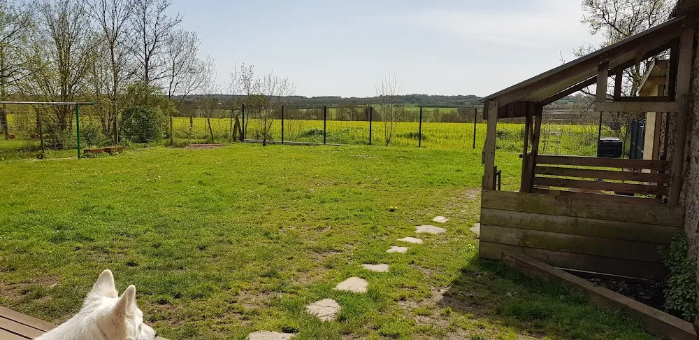 Pension canine familiale Nono & Co - Pays-de-la-Loire pet otel görseli 3