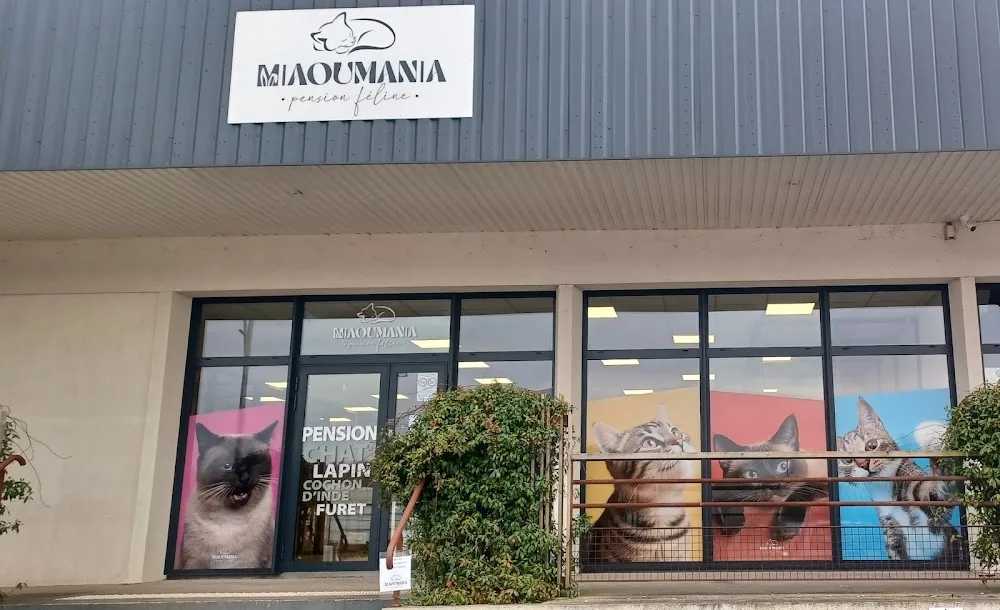 Pension féline Miaoumania. Garde pour Chats, Lapins, Cochon d'inde et Furets en Vendée. - Pays-de-la-Loire pet otel