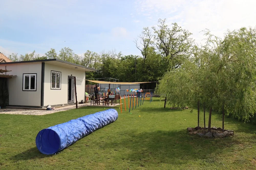 Tappancs Családi kutya és cica panzió Pécs - Romonya - Pécs pet otel