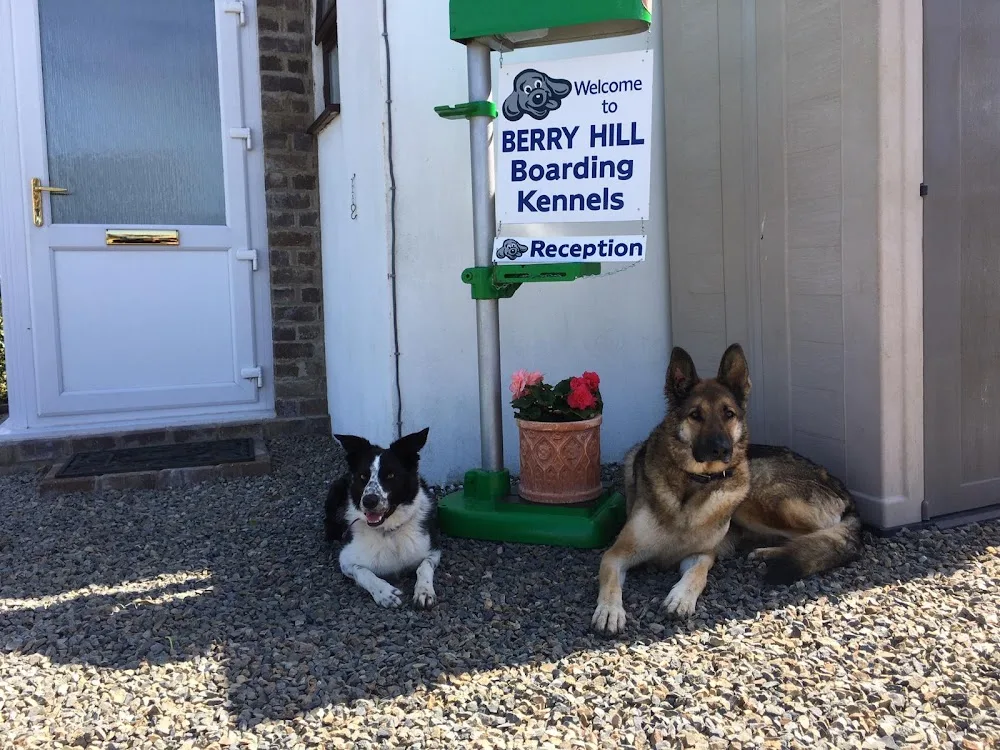 Berry Hill Boarding Kennels - Pembrokeshire pet otel