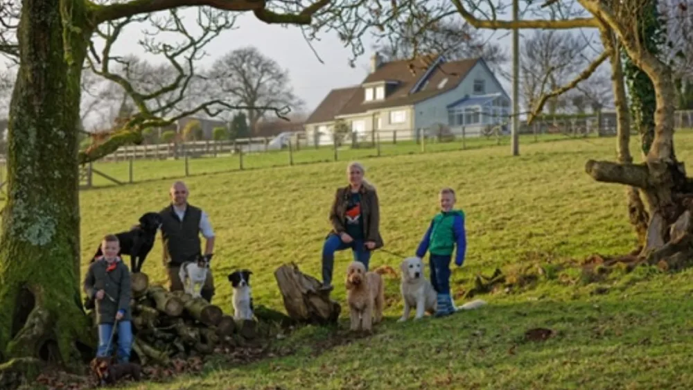 Millin Brook Luxury Dog Boarding - Pembrokeshire pet otel
