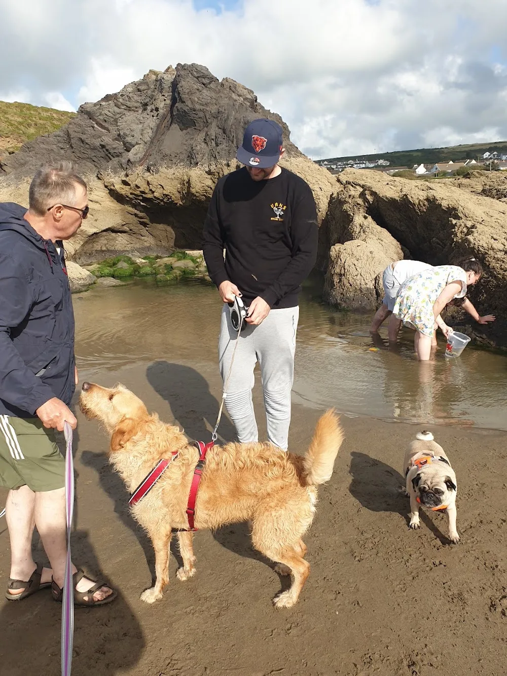 Nash Mountain Boarding Kennels - Pembrokeshire pet otel görseli 3