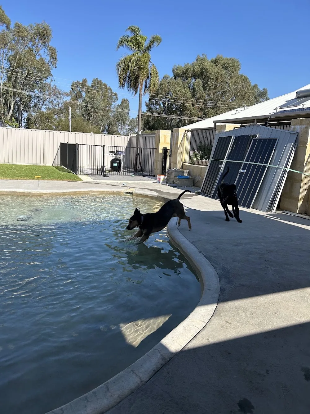 Abbeyvale Lodge - Perth pet otel görseli 2