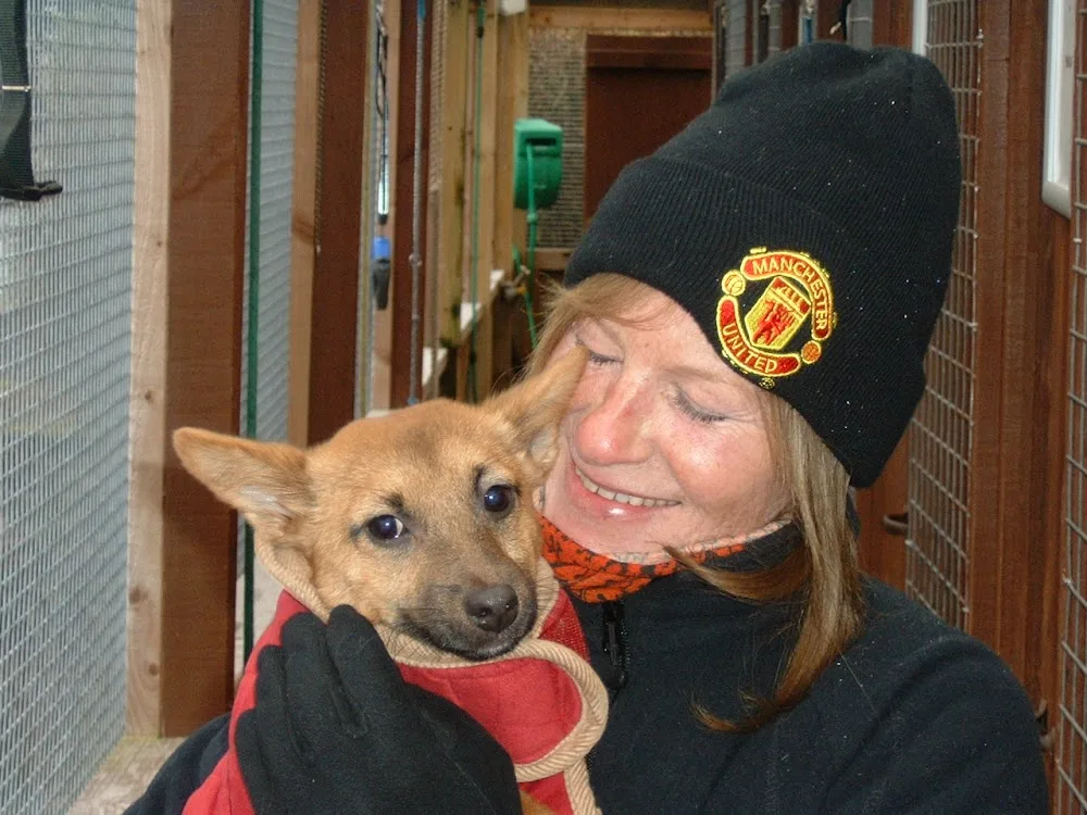 Adie Kennels & Cattery - Perth and Kinross pet otel