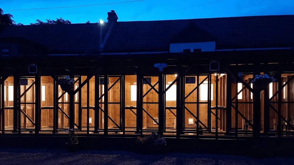Canny Cat Cattery Ltd - Perth and Kinross pet otel görseli 2
