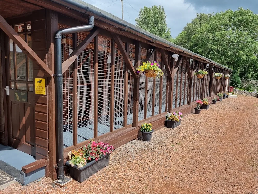 Canny Cat Cattery Ltd - Perth and Kinross pet otel görseli 3