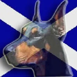 Clentry Cattery - Perth and Kinross pet otel görseli 5