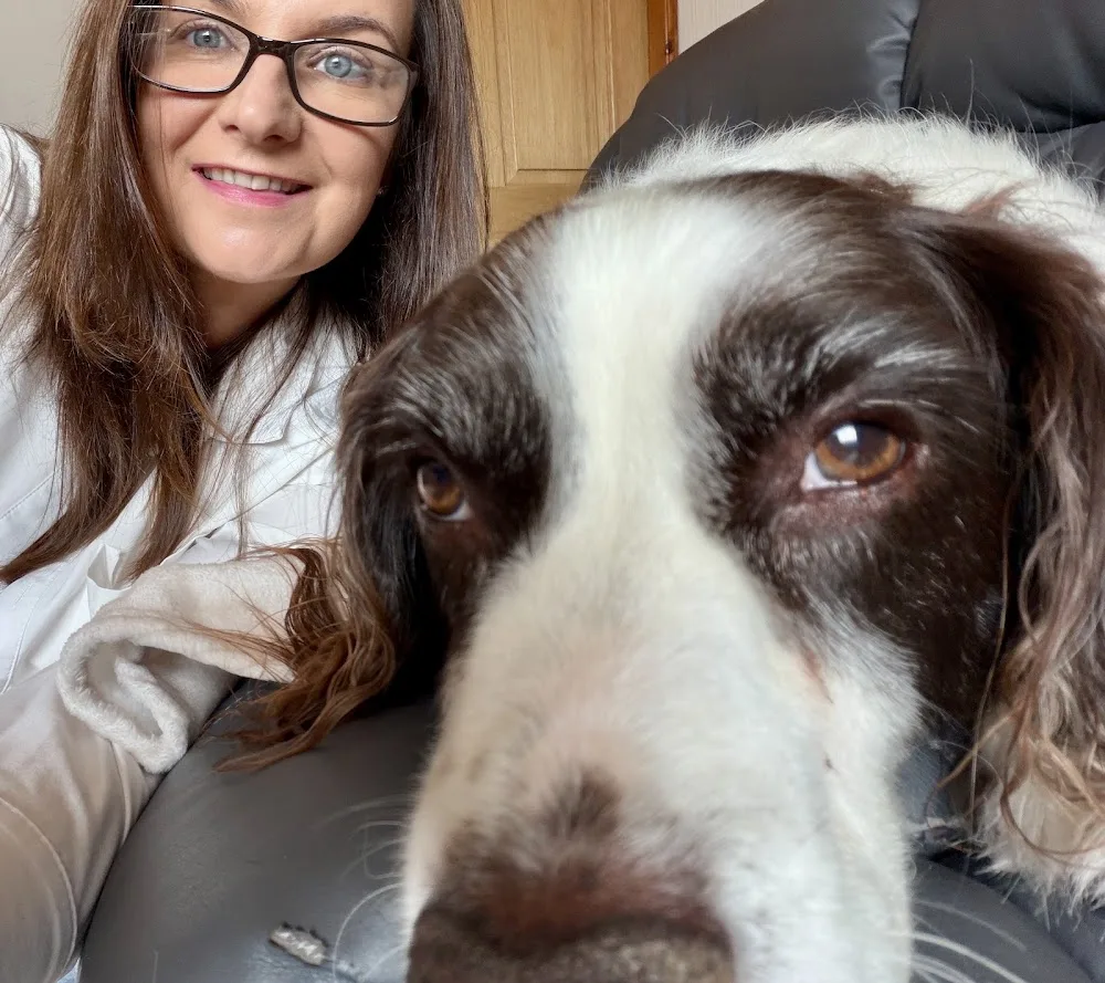 Donna’s Doggy Retreat - Perth and Kinross pet otel görseli 3