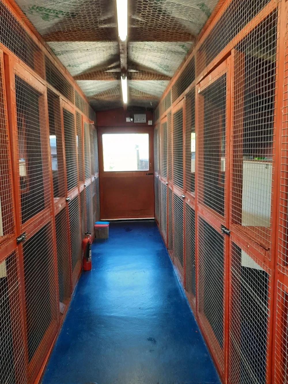 Grangemount Cattery - Perth and Kinross pet otel görseli 2