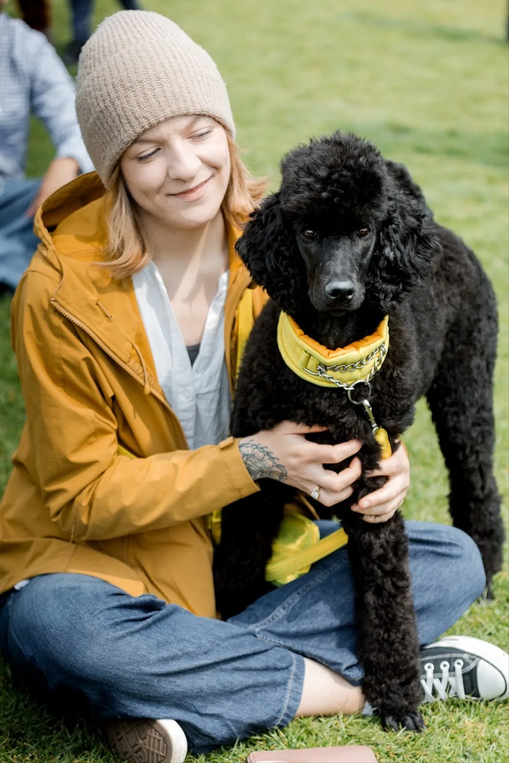 Julia's Dog Care - Perth and Kinross pet otel görseli 3