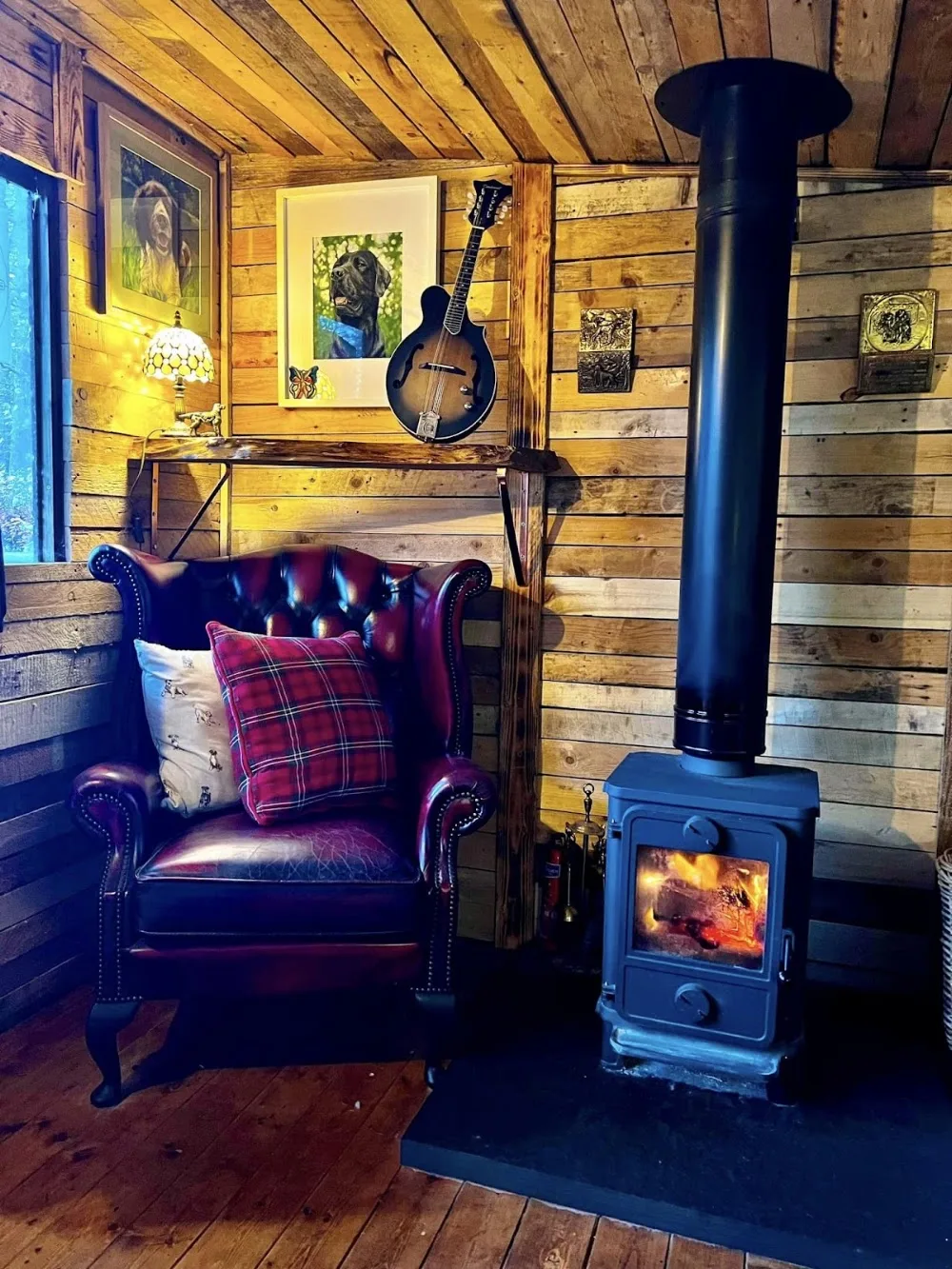 Murie Kennels Dog Salon - Perth and Kinross pet otel görseli 3