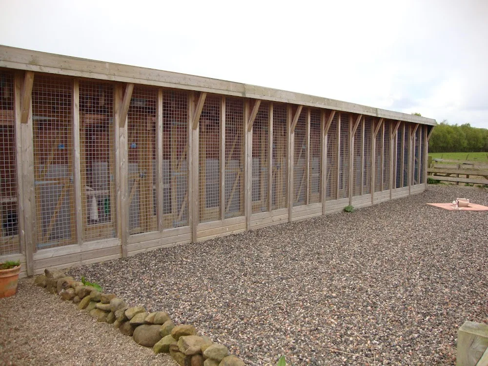 Stonedykes Cattery - Perth and Kinross pet otel görseli 3