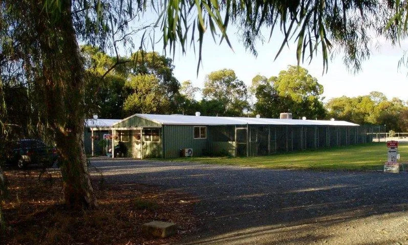 Aristocrat Boarding Cattery - Perth pet otel
