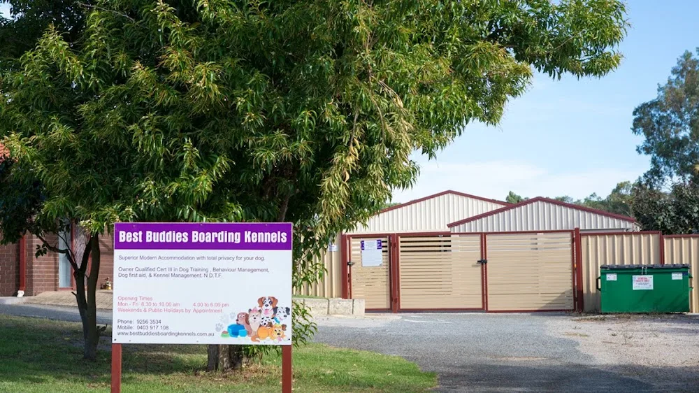 Best Buddies Boarding Kennels - Perth pet otel