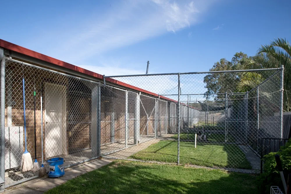 Best Buddies Boarding Kennels - Perth pet otel görseli 3