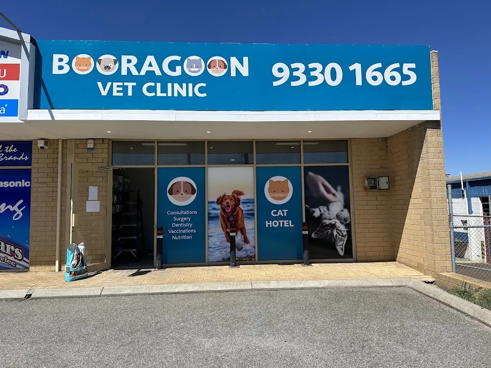 Booragoon Vet Cat Hotel - Perth pet otel görseli 2
