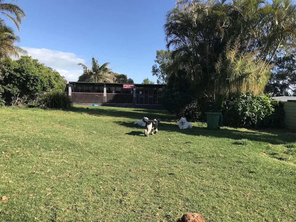 Butter Paws(Canningvale dog boarding) - Perth pet otel görseli 2