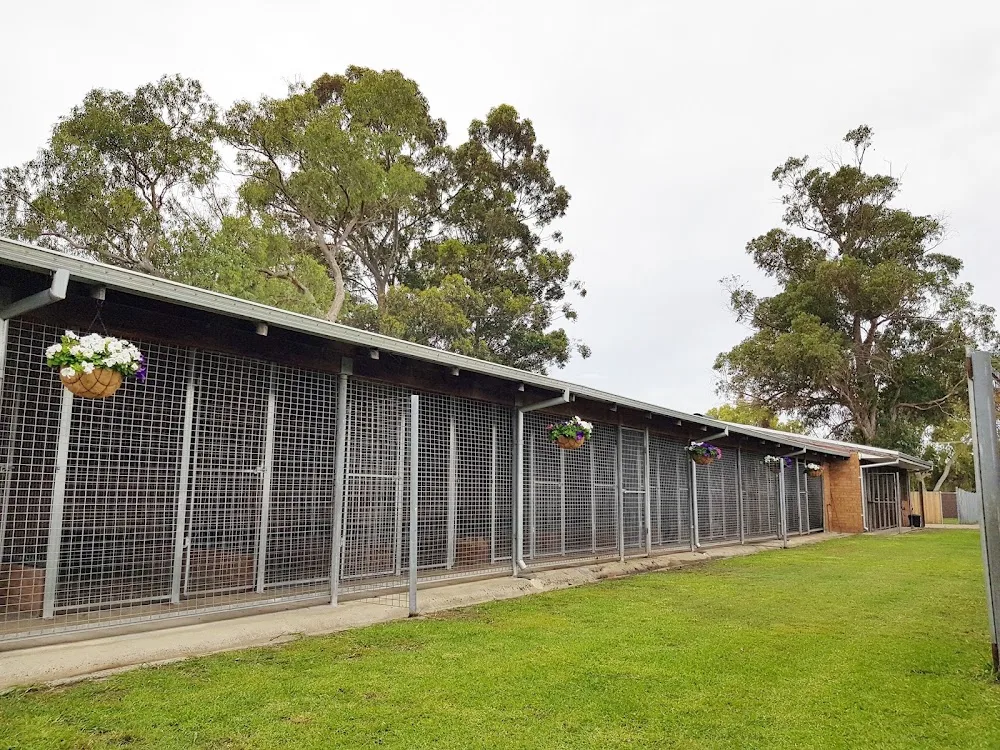 Canning Vale Pet Resort - Perth pet otel görseli 6