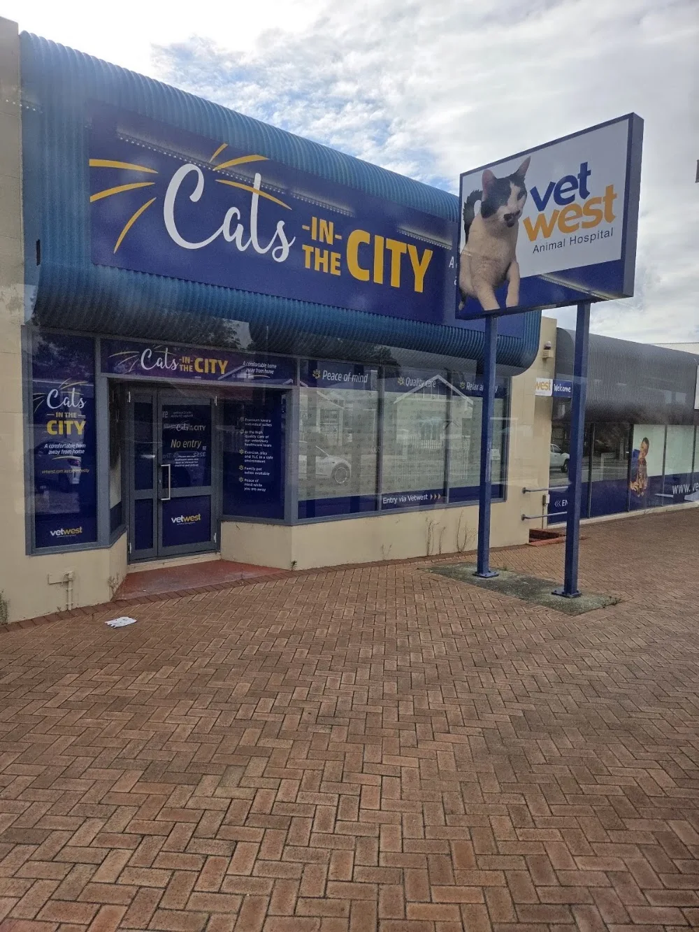 Cats in the City by Vetwest - Perth pet otel görseli 5