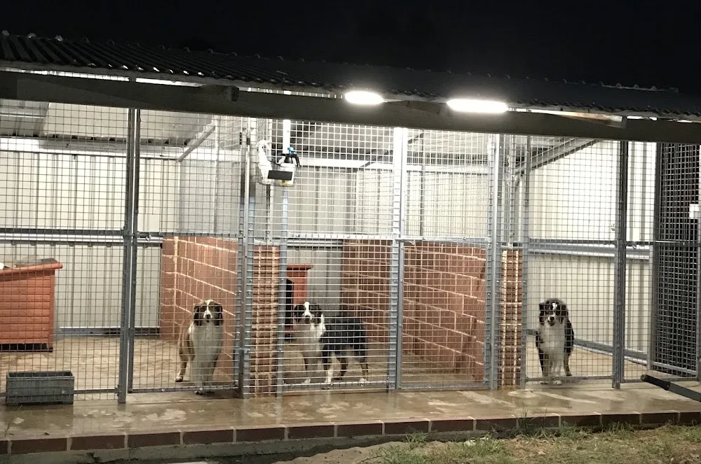 Furry Friends Boarding Kennels and Cattery - Perth pet otel görseli 3