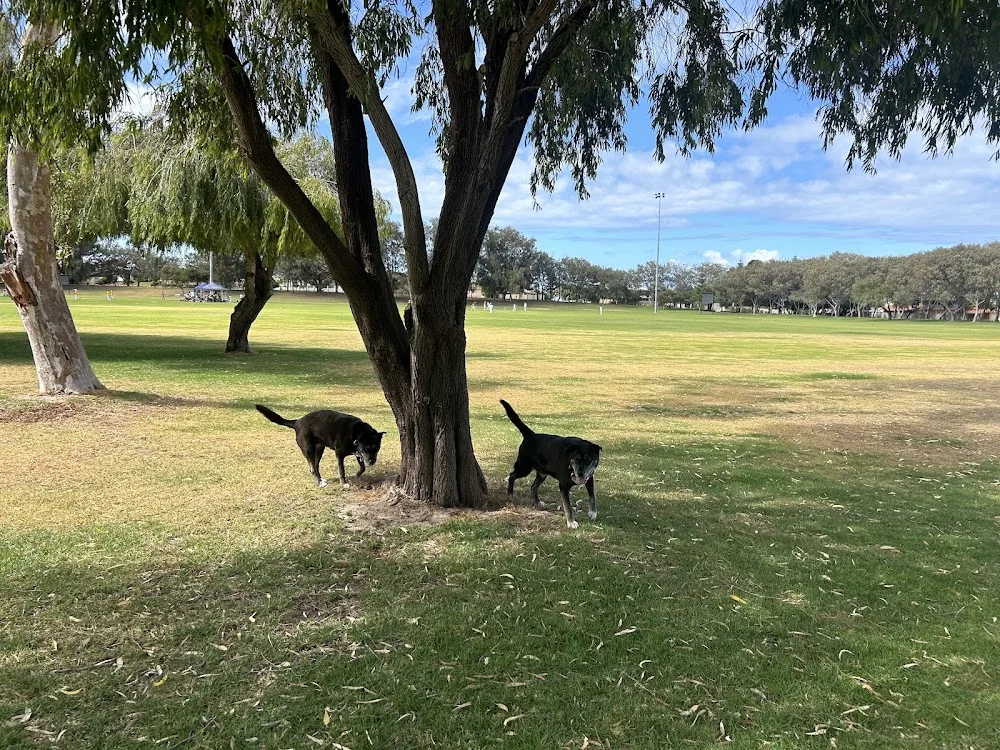 Lake Adams Pet Resort - Perth pet otel görseli 6