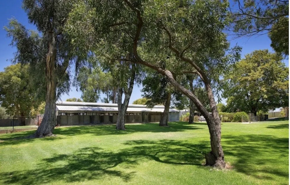 Matison Manor kennels & Cattery - Perth pet otel görseli 6