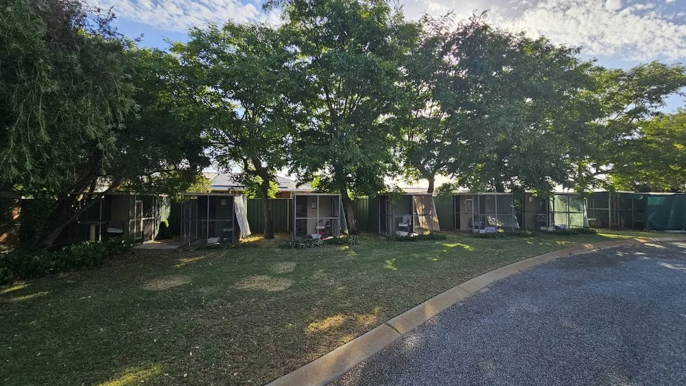 Top Cats Country Club - Perth pet otel görseli 3