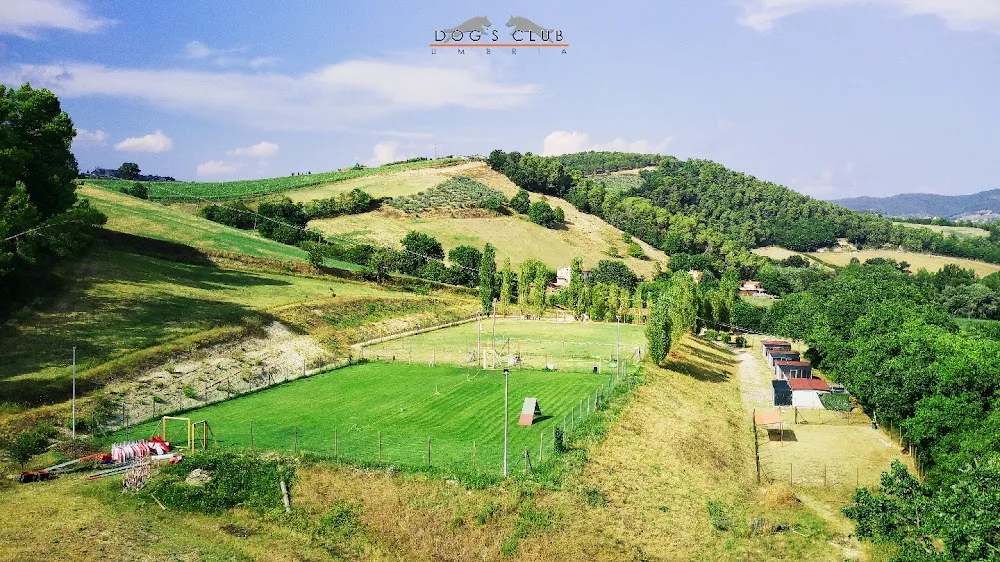 Dog's Club umbria - Perugia pet otel