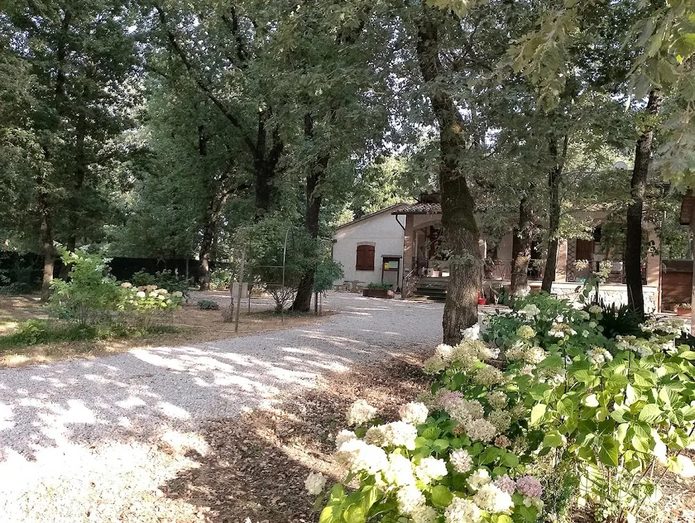 La nostra casa - Pensione per cani e gatti - Perugia pet otel