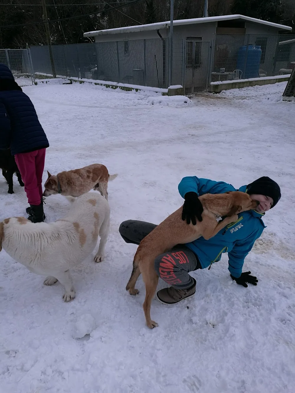Canile Rifugio Chieti "Achille Bonincontro" - Pescara pet otel