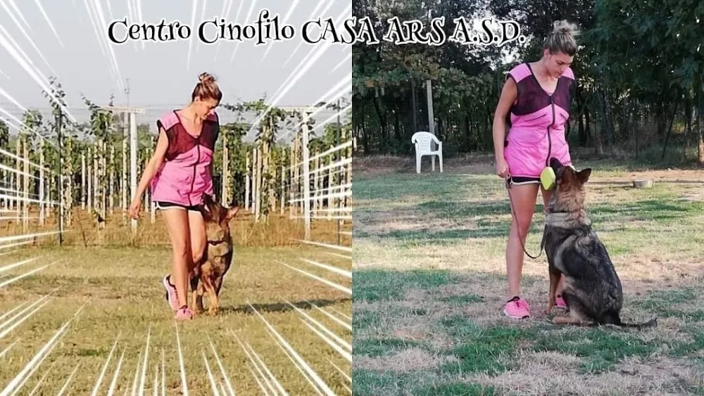 Centro Cinofilo CASA ARS - Pescara pet otel