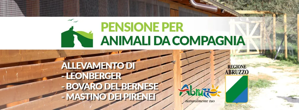 Rifugio Paradiso Srl - Pescara pet otel görseli 6