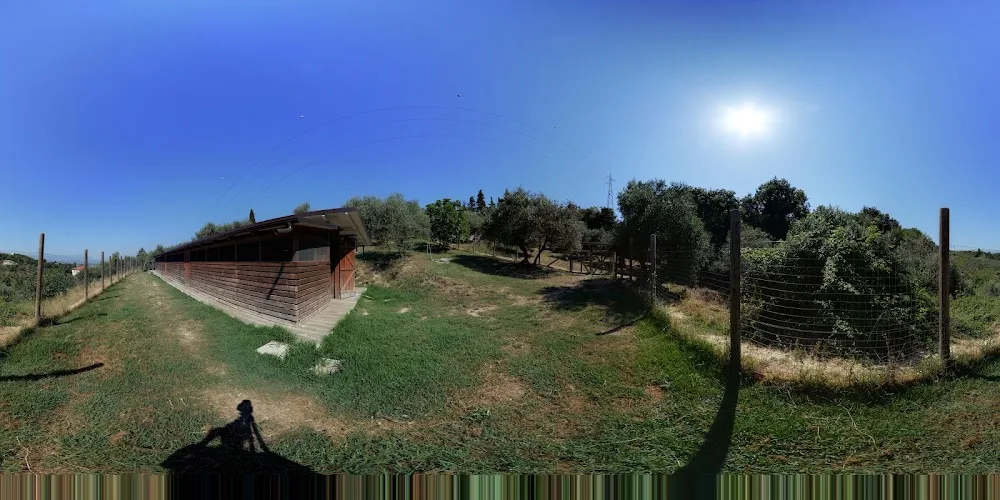 Rifugio Paradiso Srl - Pescara pet otel görseli 7