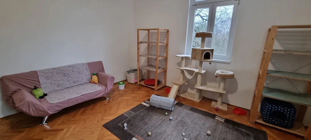 A cicapanzió - Pest County pet otel