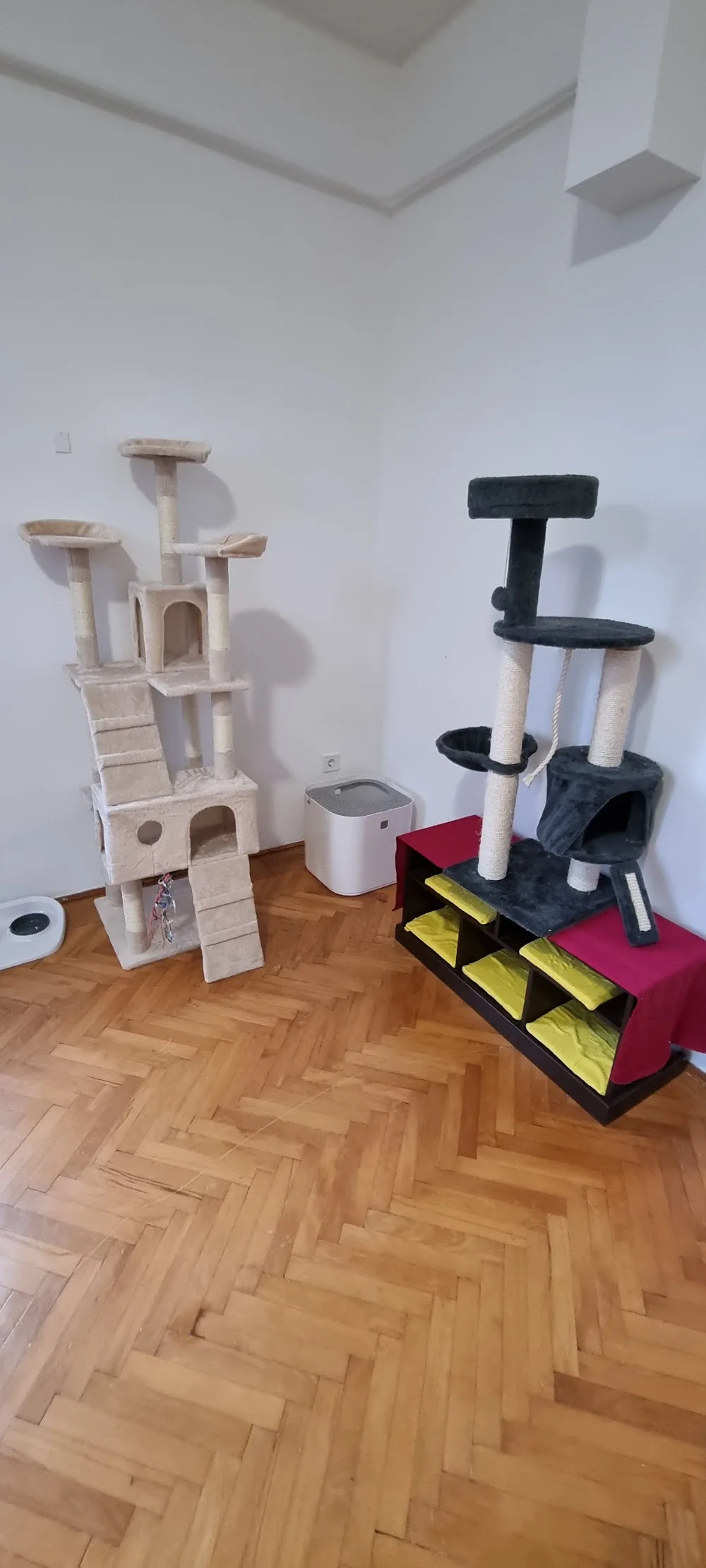 A cicapanzió - Pest County pet otel görseli 3