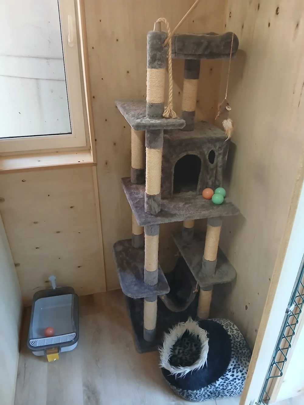 Reptéri Cicu-Micu Macska Panzió - Pest County pet otel