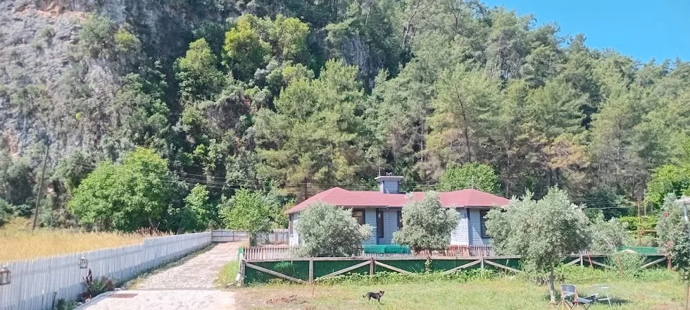 Pet Hotel Dalyan - Muğla pet otel görseli 2
