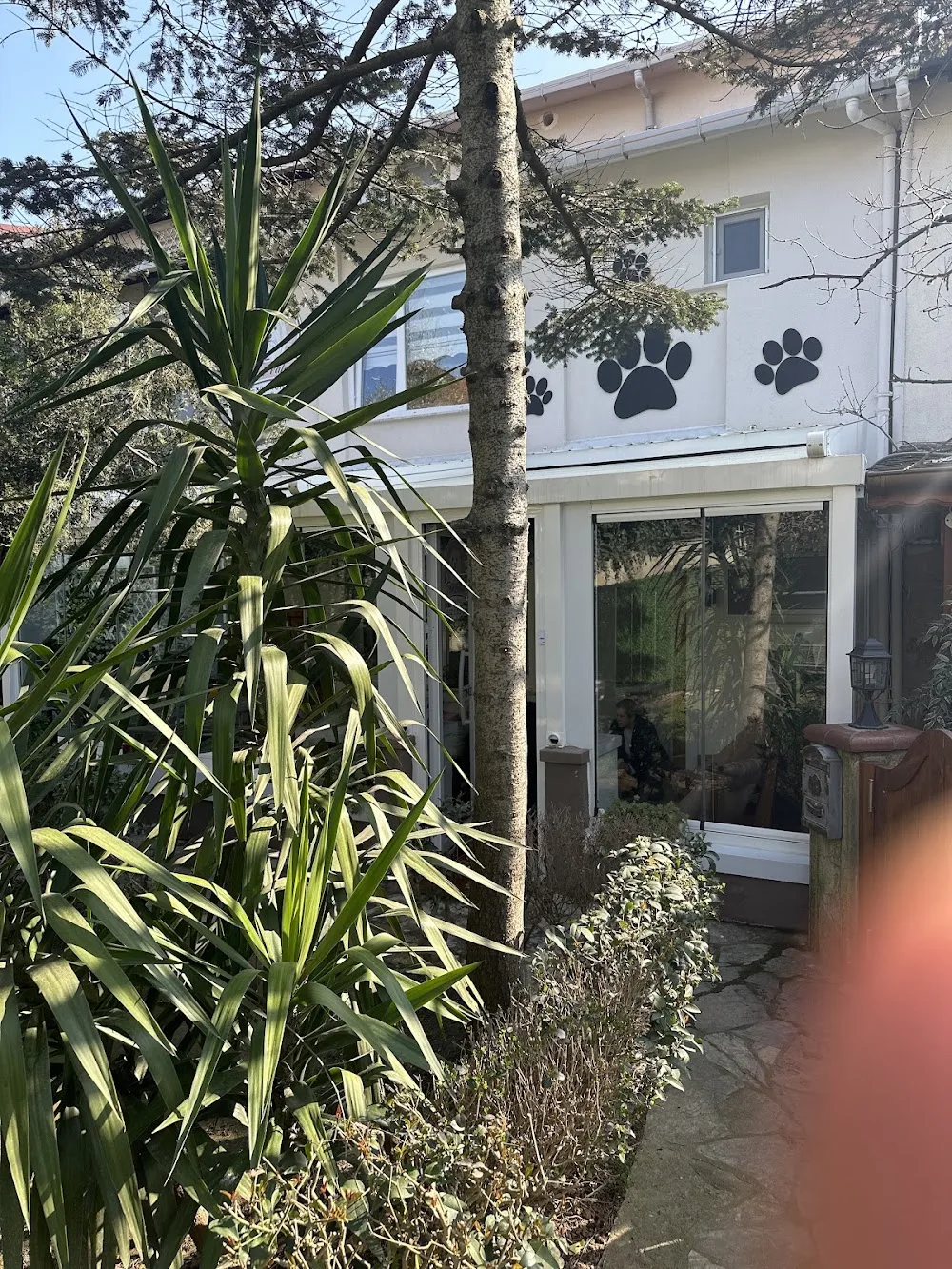 Pet Palas Köpek Oteli - Istanbul pet otel görseli 7