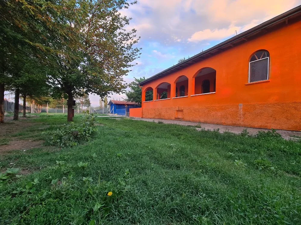 Pet Port Köpek Eğitim Merkezi ve Oteli - Ankara pet otel görseli 7